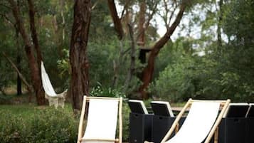 テラス / パティオ