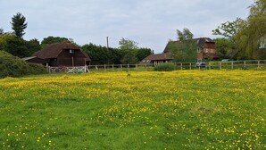 A rural landscape with a field of yellow flowers, a wooden barn, and traditional houses.