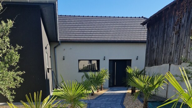 A paved pathway leading to a modern building with a dark roof and a small garden area with palm trees and gravel.