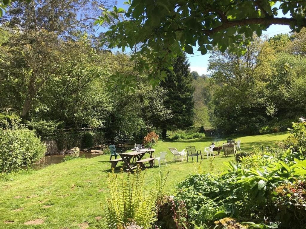 Um jardim exuberante com mesa e cadeiras para piquenique, cercado por vegetação densa e árvores.