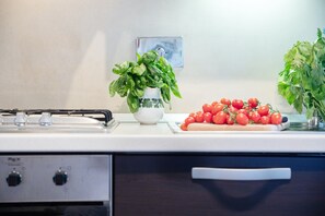 Fridge, microwave, oven, dishwasher - Piazza Bernardini Apartment in Center Town (Lucca)