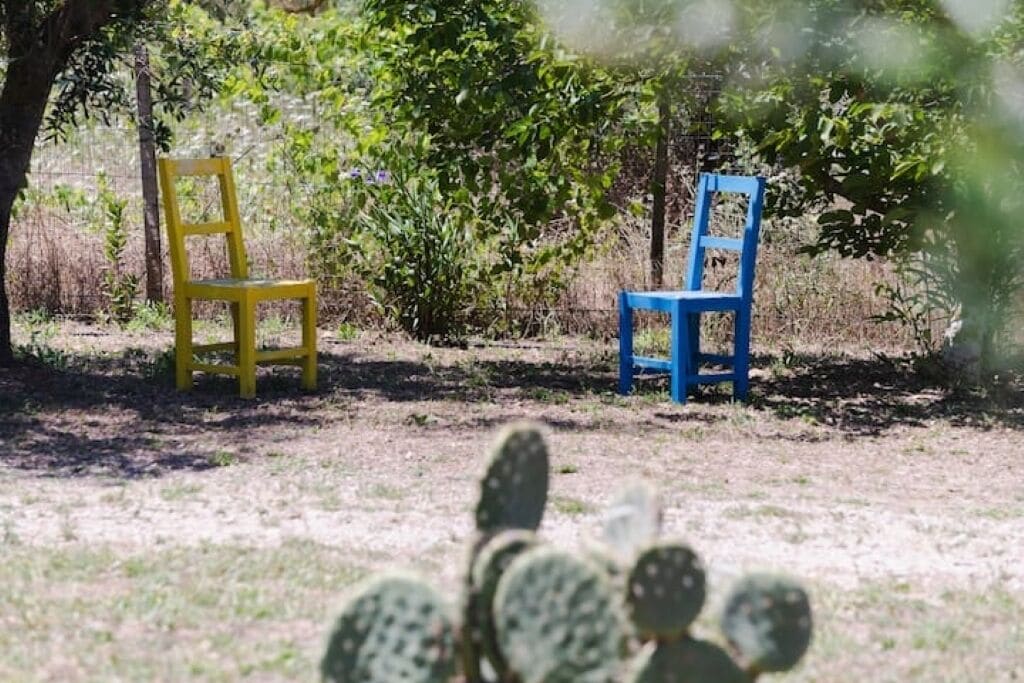 Two chairs, one yellow and one blue, placed outdoors with vegetation in the background.