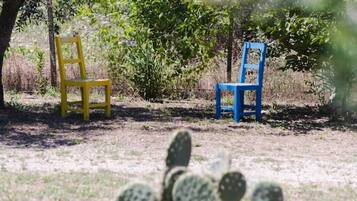 Two chairs, one yellow and one blue, placed outdoors with vegetation in the background.
