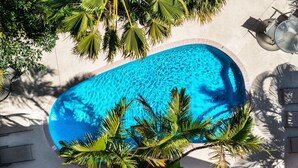 Et poolområde med en klar, blå pool, omgivet af palmer og fliset gulv.