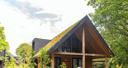 Forest wellness at its finest â hot tub, sauna and luxury for 8 guests.