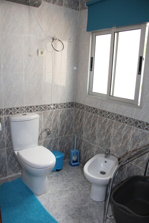 Ducha, secador de pelo, bidé y toallas