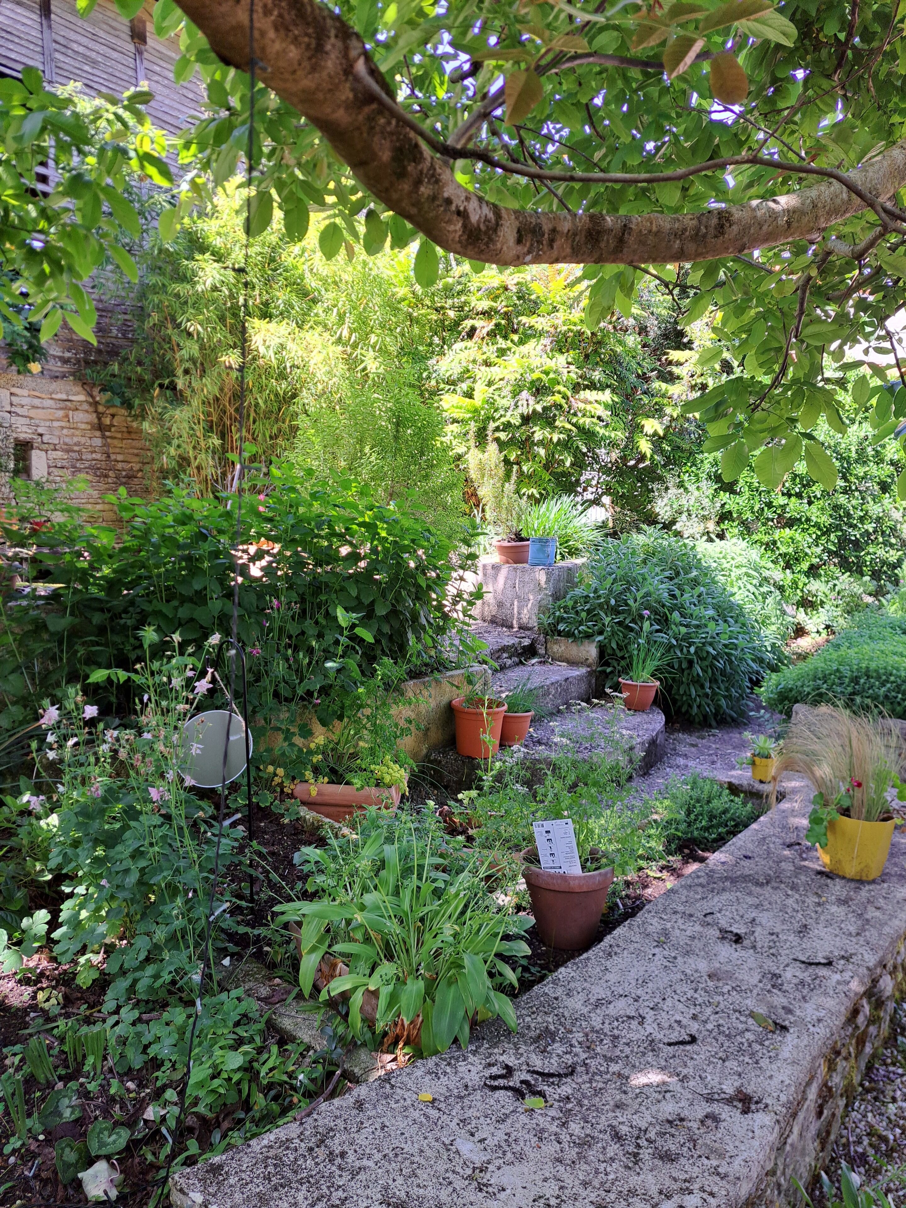 Jardines del alojamiento