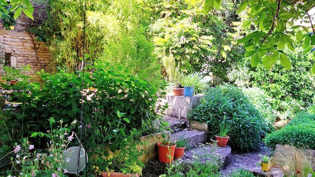 Ein Garten mit verschiedenen Kübelpflanzen und einem gepflasterten Weg.