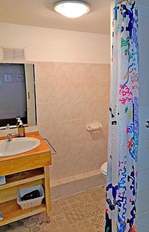Douche, sèche-cheveux, serviettes fournies