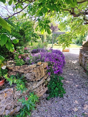 Property grounds - Cottage l'Atelier, leisure area with pool (Marigny)