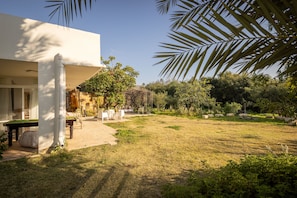 Une maison moderne dotée d’un patio couvert, d’une pelouse et d’un jardin luxuriant.