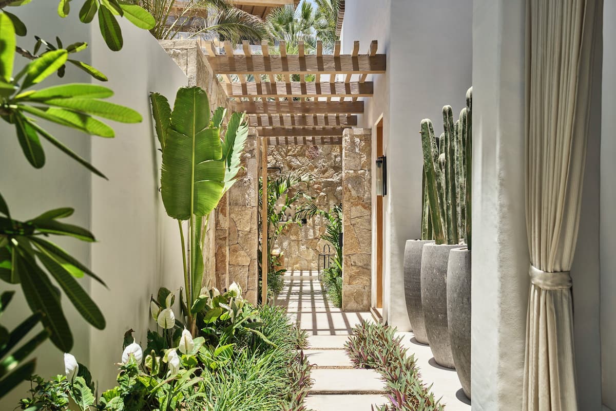 A narrow pathway with a wooden pergola, surrounded by lush greenery and large potted cacti.