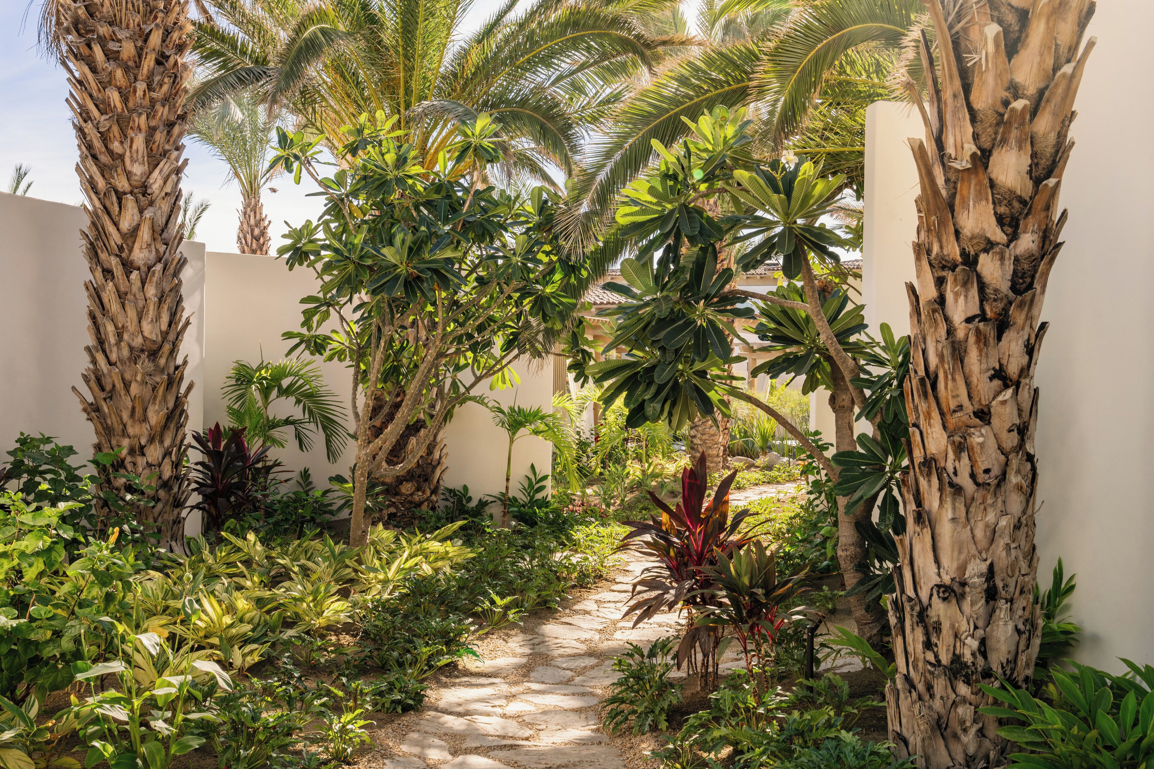A narrow stone pathway flanked by tall palm trees and lush tropical plants, leading through a garden area with white walls.