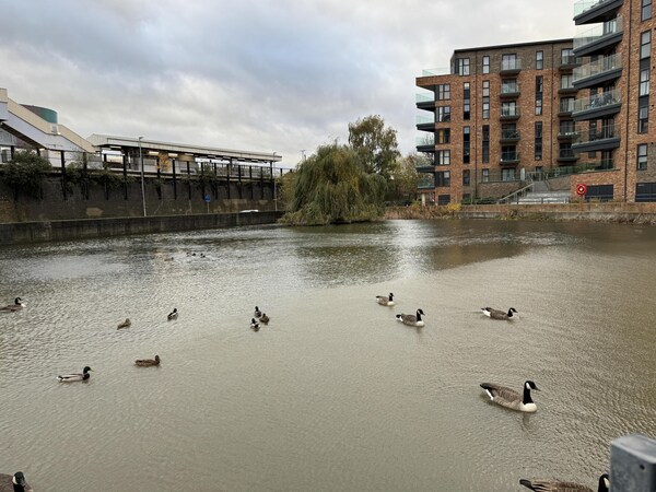 Dartford Luxury 2 Bed Apartment - Dartford