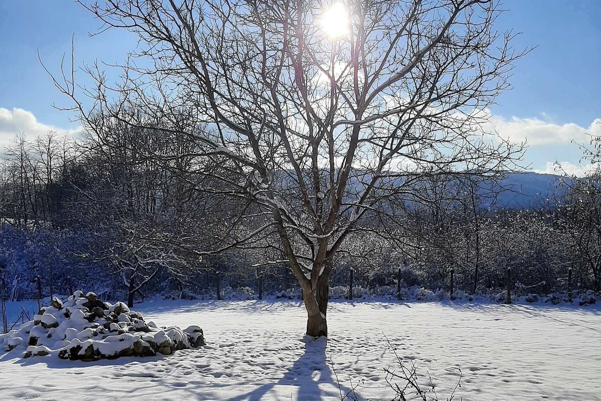Sports d’hiver