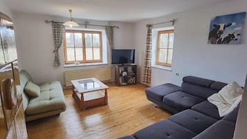 Smart TV, fireplace, books, video library