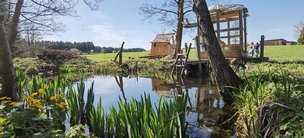 Enceinte de l’hébergement