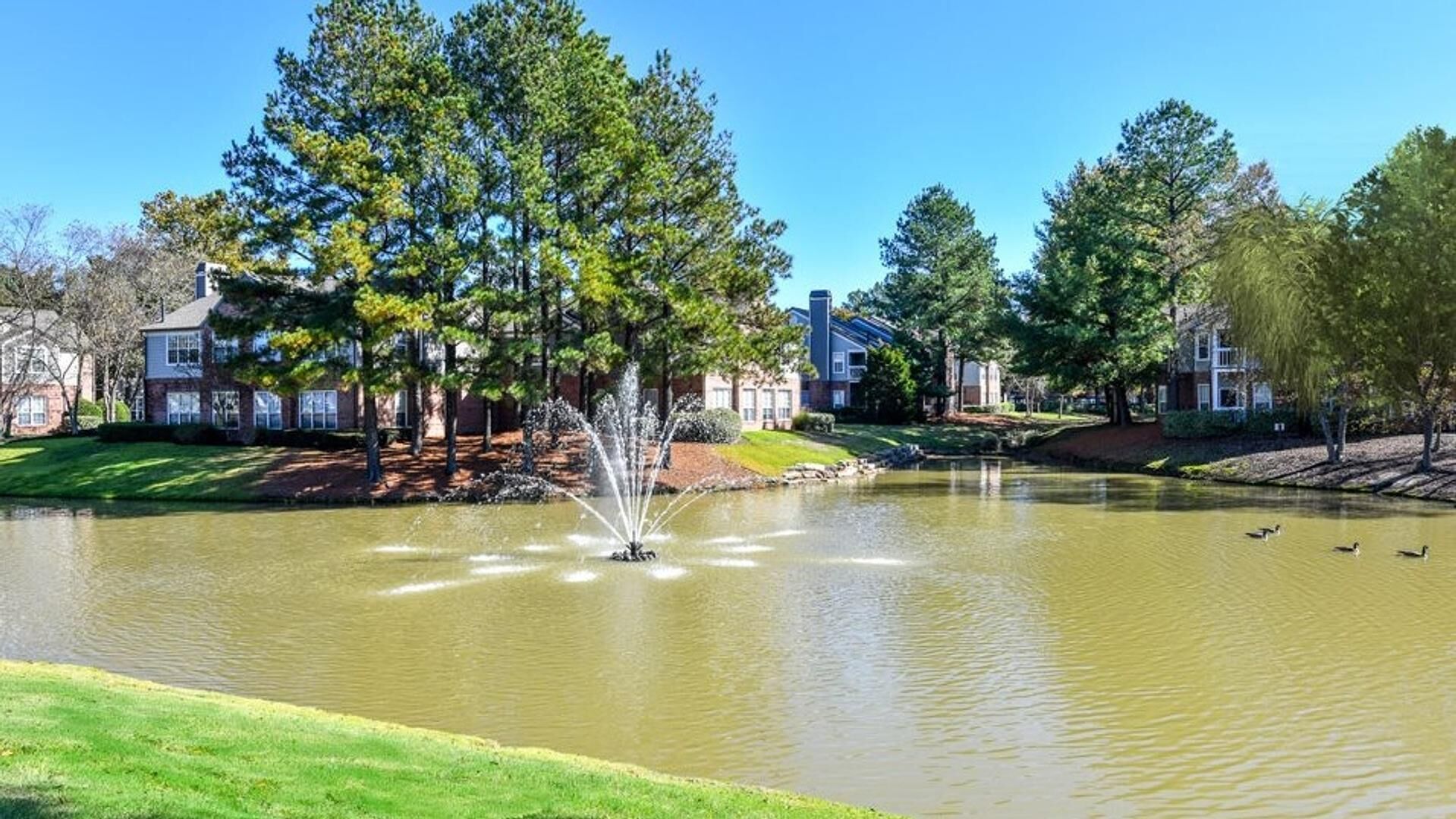 A serene pond with a fountain, surrounded by lush greenery and residential buildings.