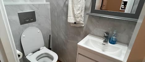 A modern bathroom with a toilet, sink, and mirror.