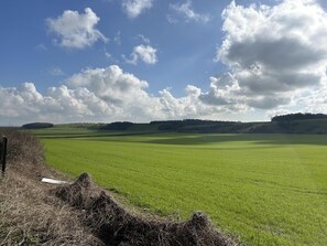 Cabin | Golf - Romantic King Bed Countryside Couples Cabin (Salisbury)