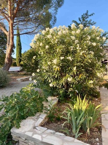 Logement Indépendant, Terrasse Privée et Piscine