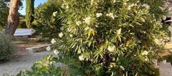 Logement Indépendant, Terrasse Privée et Piscine