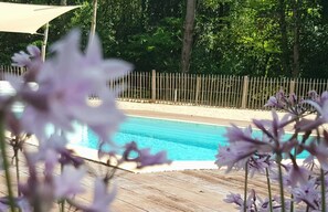 Pool - A 5 Min. de Carcassonne, Gîte -appart. du Troubadour Aznavour en Pleine Nature (Pennautier)