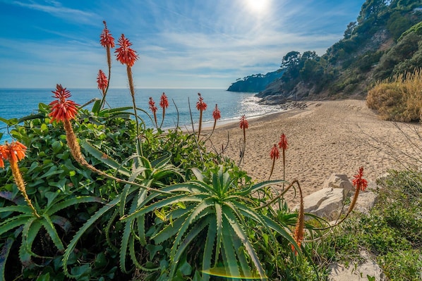 Plage à proximité