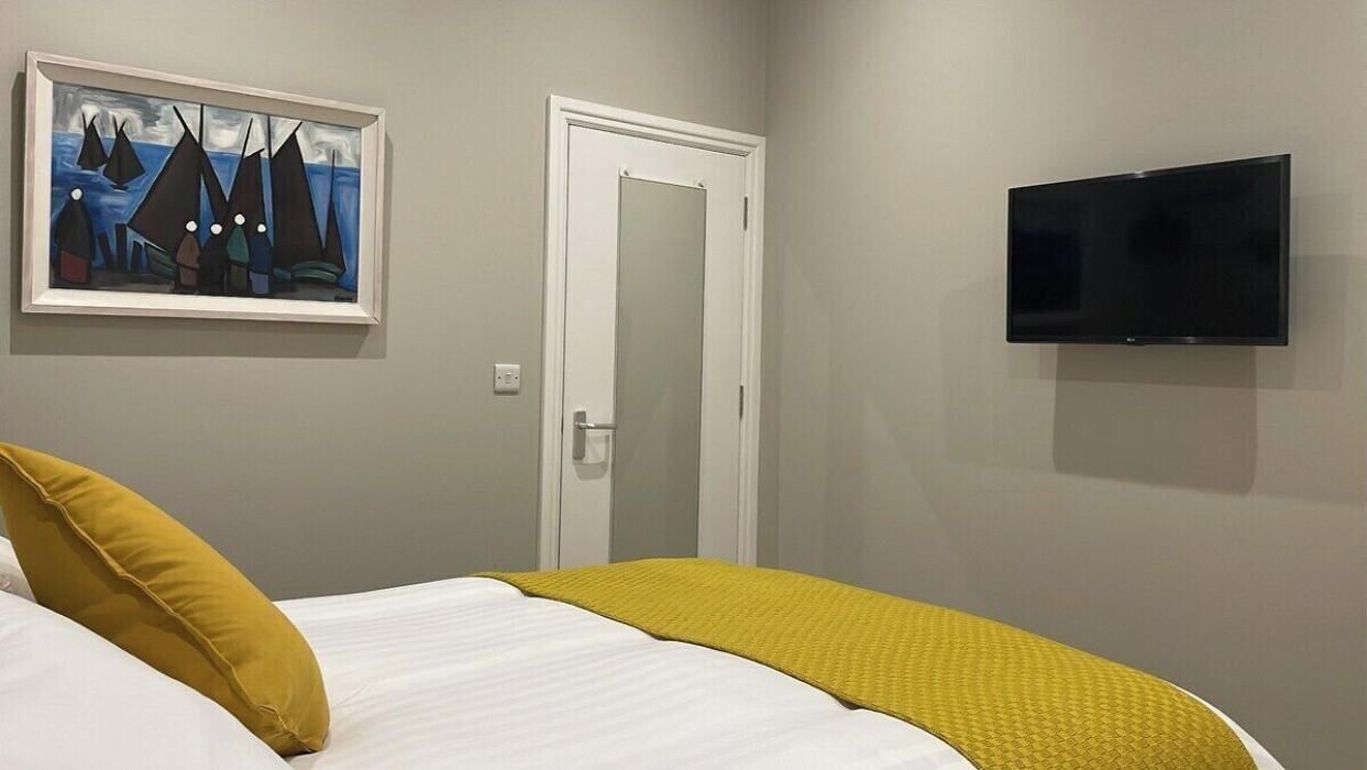 A bedroom with a bed, a painting, a door, and a TV.