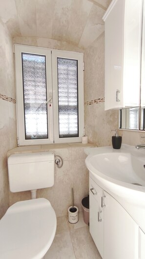 Hair dryer, towels, soap, toilet paper