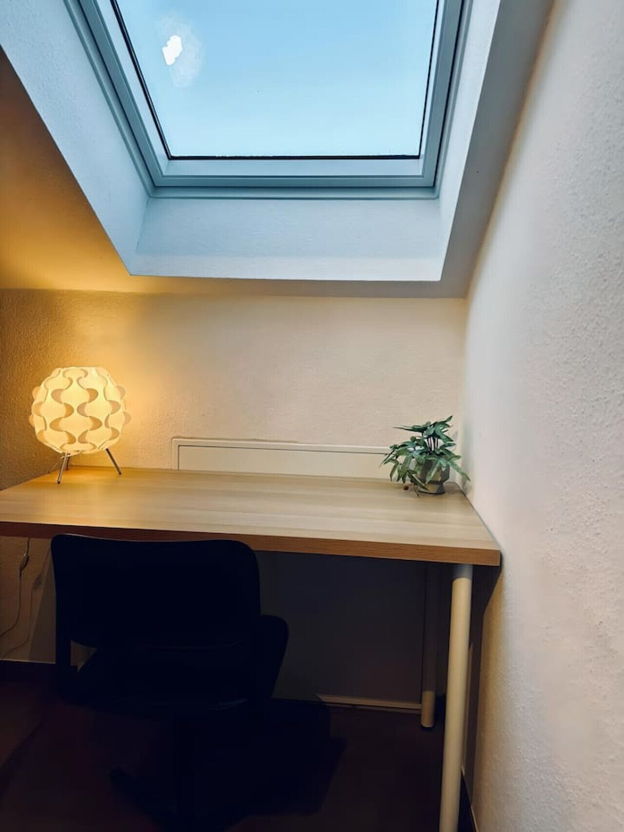 Työpöydän yläpuolella oleva kattovalaisin, jossa on lamppu ja kasvi.