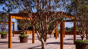 Un árbol en el centro de un espacio exterior techado con vigas de madera y plantas en macetas alrededor.