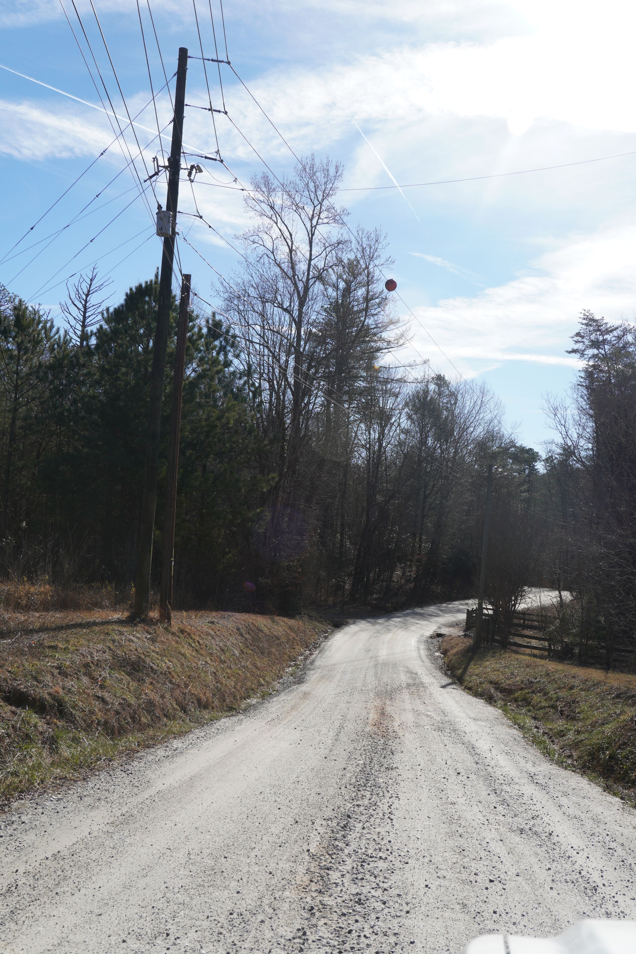 A rural dirt road flanked by trees and utility poles.