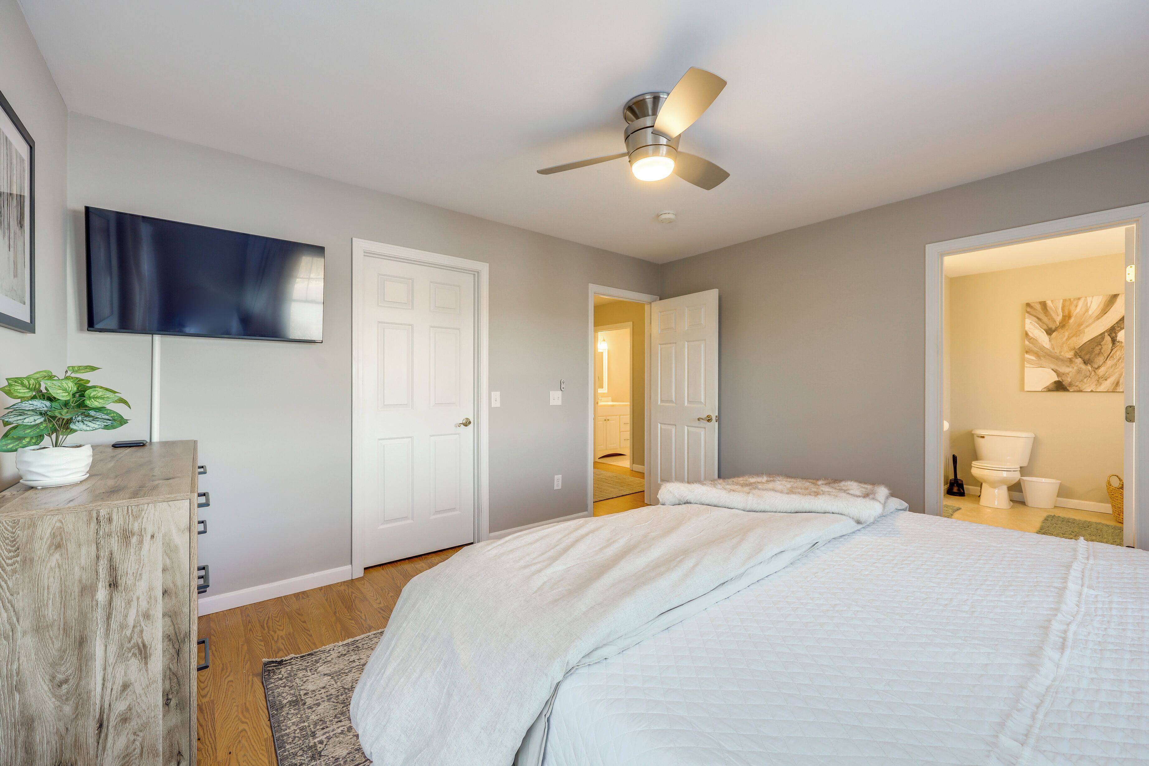 A bedroom with a bed, a ceiling fan, a TV, and a plant.
