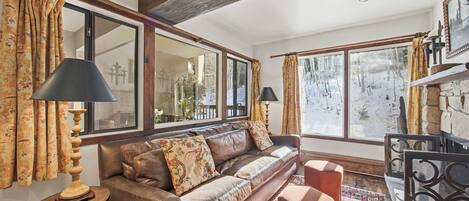 TV, lareira, DVD player