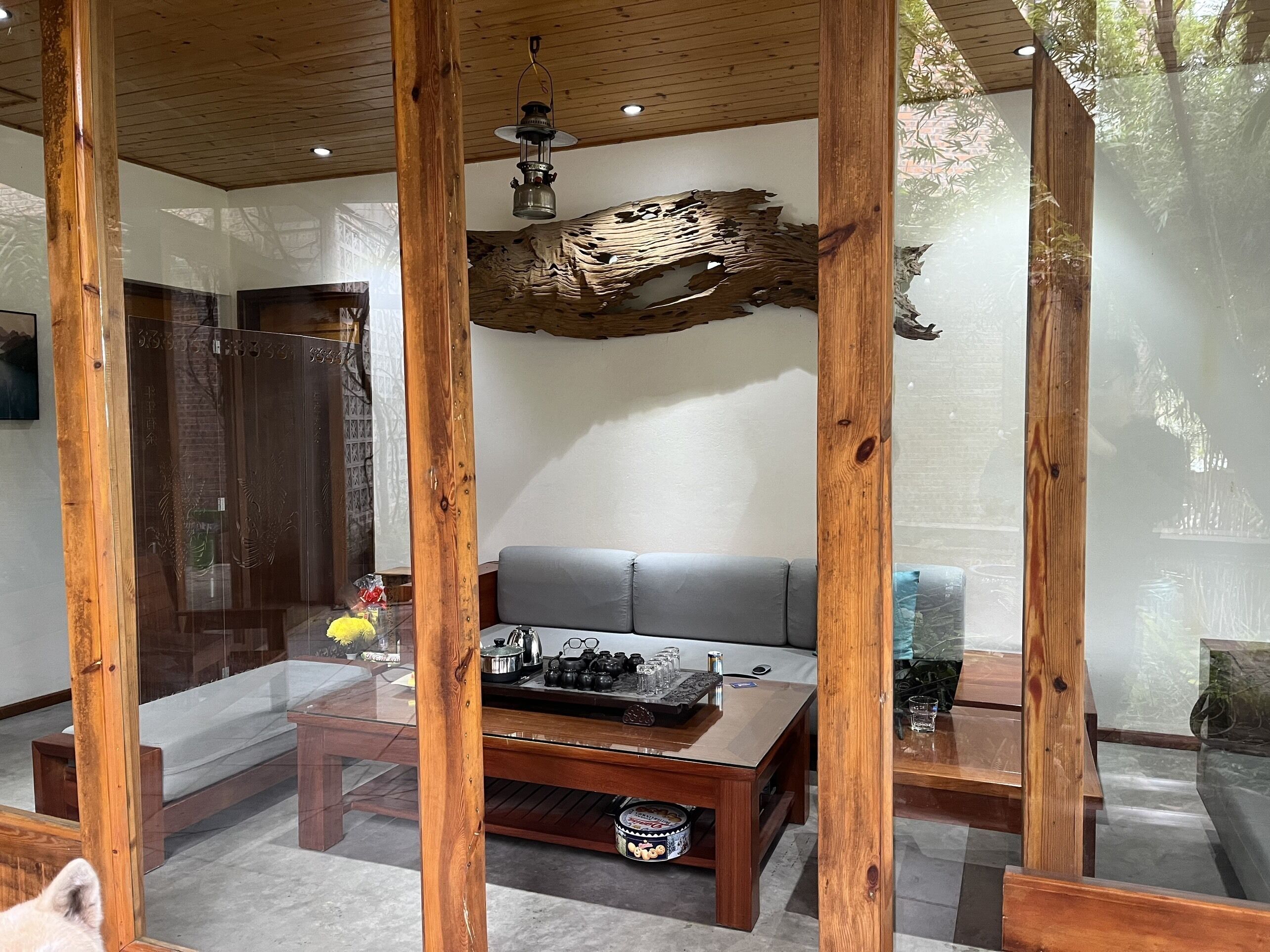Un salon moderne avec un plafond en bois, un canapé gris, une table basse avec un service à thé et une cloison en verre.