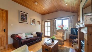 TV connectée, cheminée