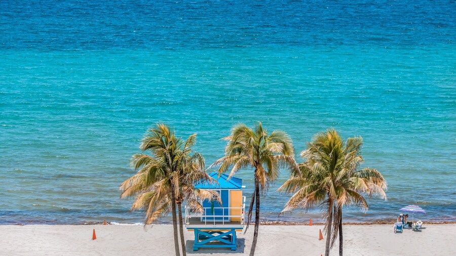 Palm Lined Oasis Walk To Beach