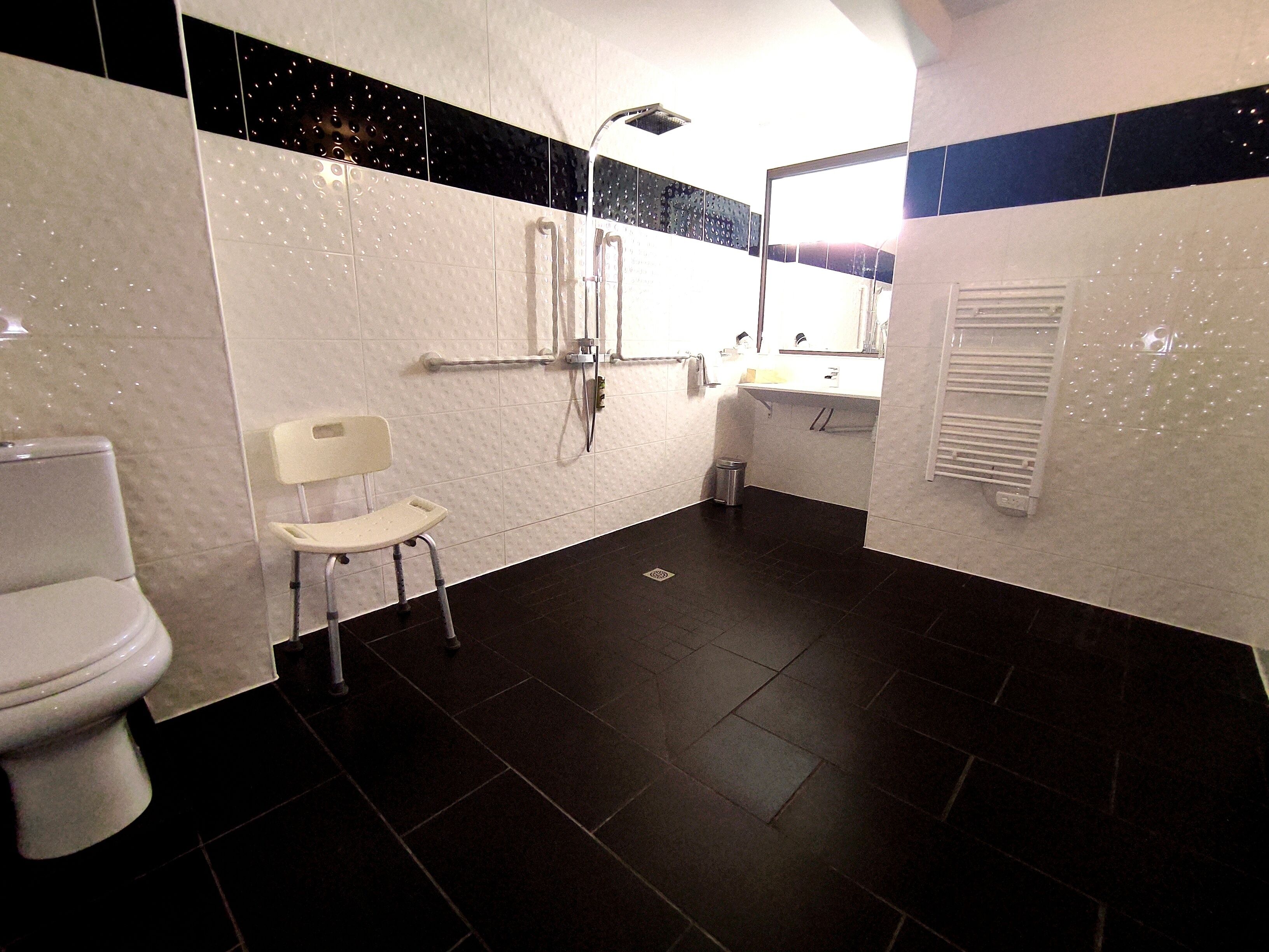 A bathroom with a toilet, a shower, a handrail, and a small trash bin.