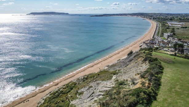 Un paysage côtier comprenant une plage, une île lointaine et une zone résidentielle avec des maisons et de la végétation.