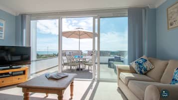 TV, fireplace, DVD player, books