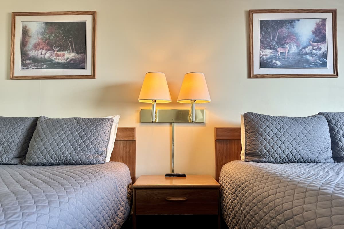 A hotel room with two beds, each with a quilted grey duvet, a wooden nightstand with a lamp, and two framed wildlife paintings on the wall.