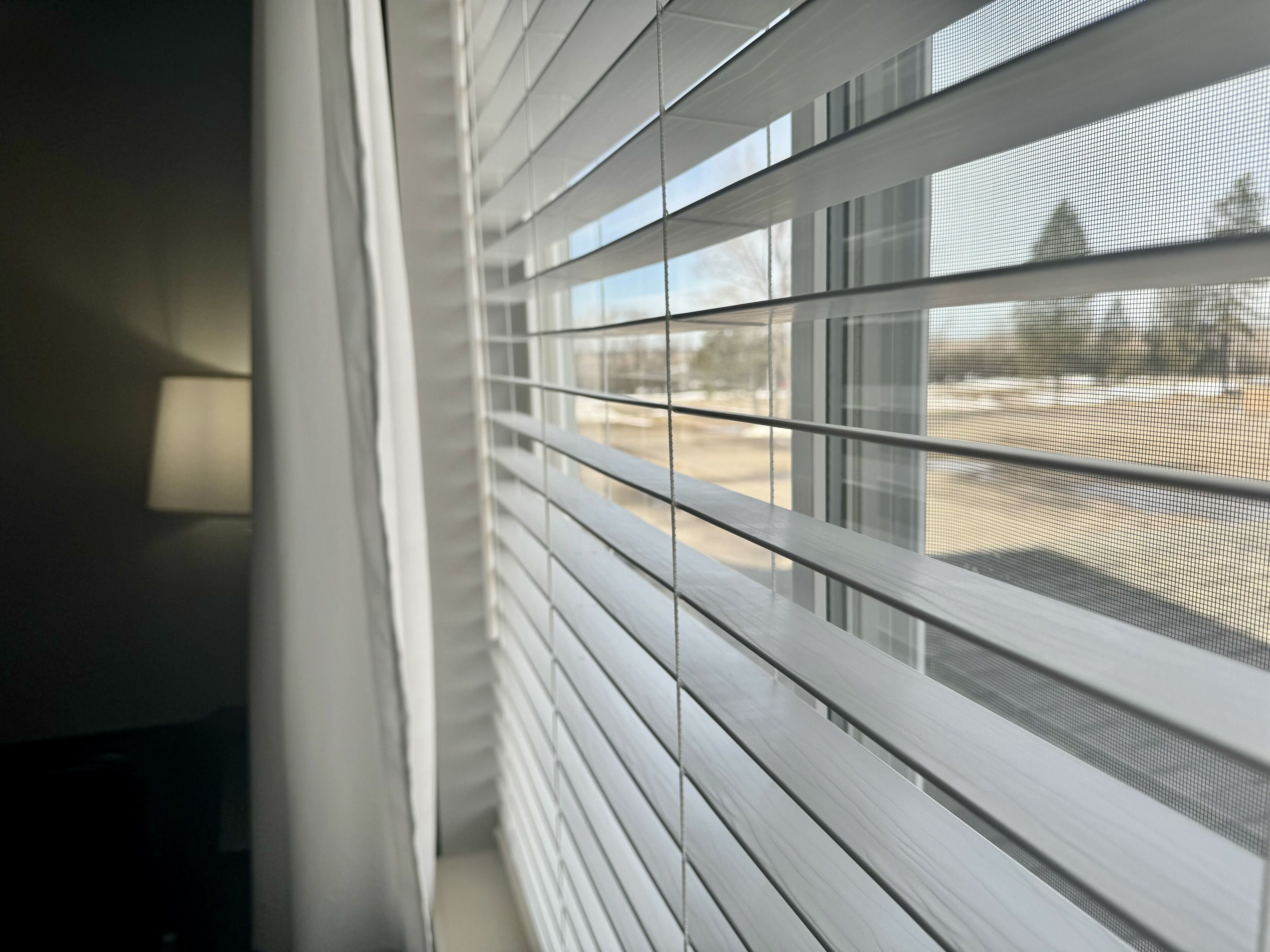 A window with horizontal blinds and a view of a yard.