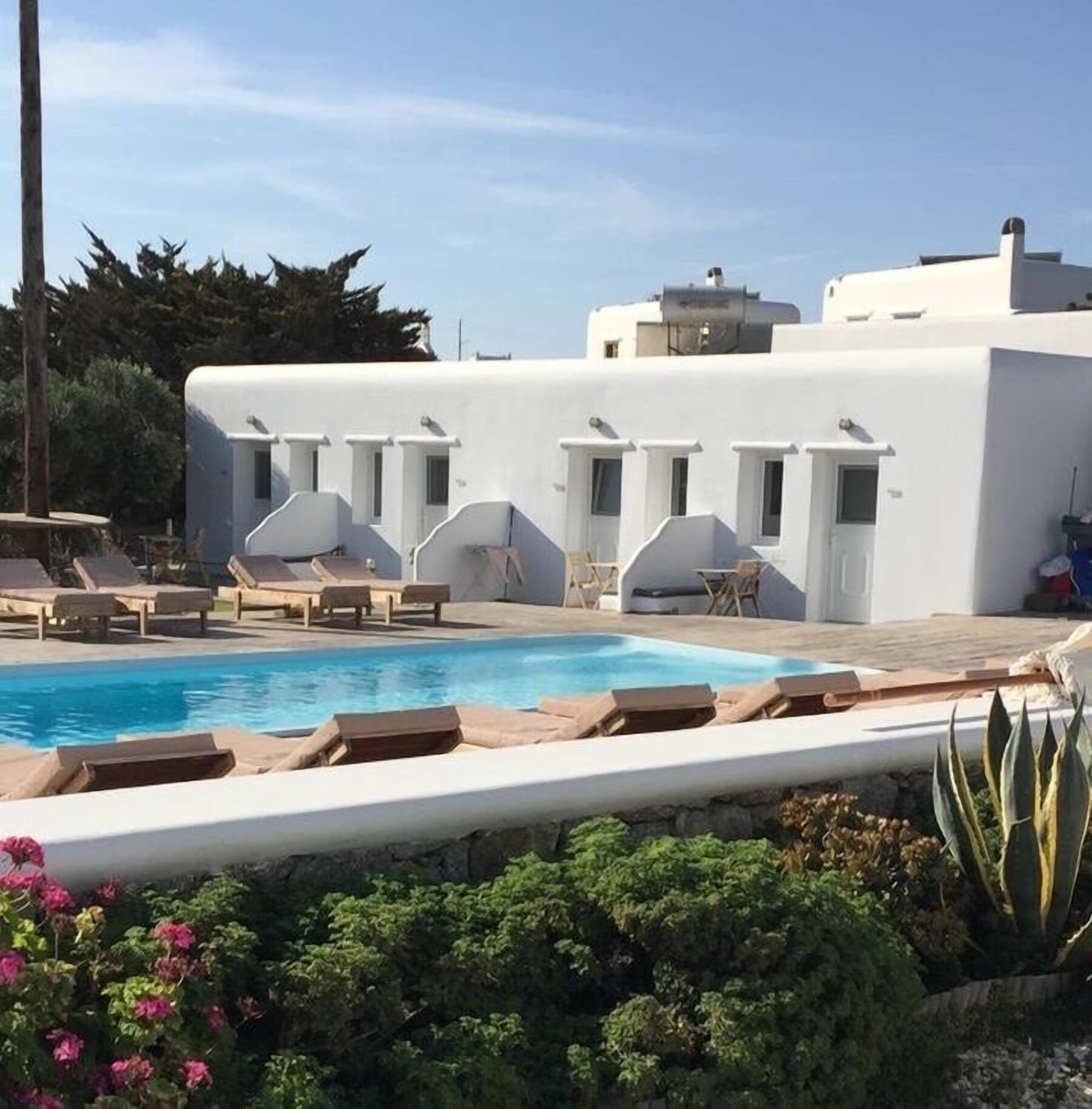 Outdoor pool, open 9:00 AM to 7:00 PM, pool umbrellas, pool loungers