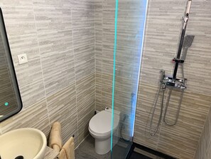 Douche, séchoir à cheveux, serviettes fournies, savon