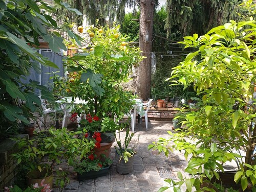 Maison en Centre Ville, Avec Jardin, 6 Personnes, Métro, Tram, bus