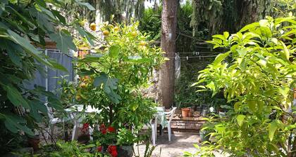 Maison en Centre Ville, Avec Jardin, 6 Personnes, Métro, Tram, bus