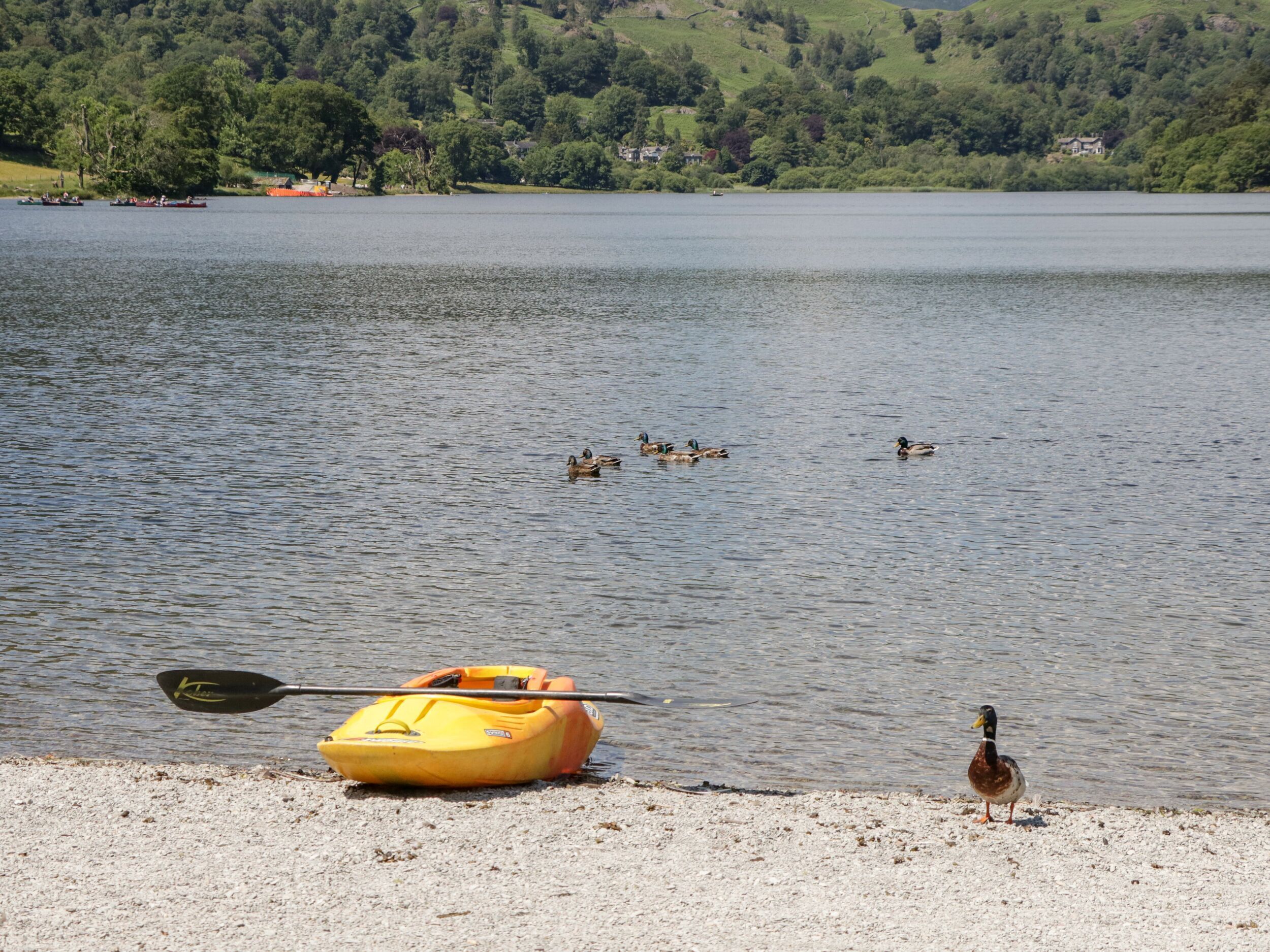 Cottage | Spiaggia