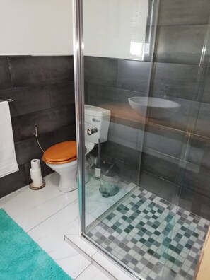 Apartment, 1 Bedroom, Balcony, Mountain View | Bathroom | Toilet paper