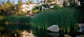 Four Seasons Aviara one bedroom /with living area /kitchen/dining / 2 bathrooms